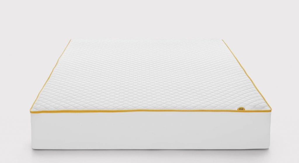 eve premium mattress cover