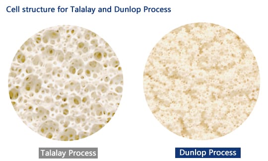 dunlop vs talalay process