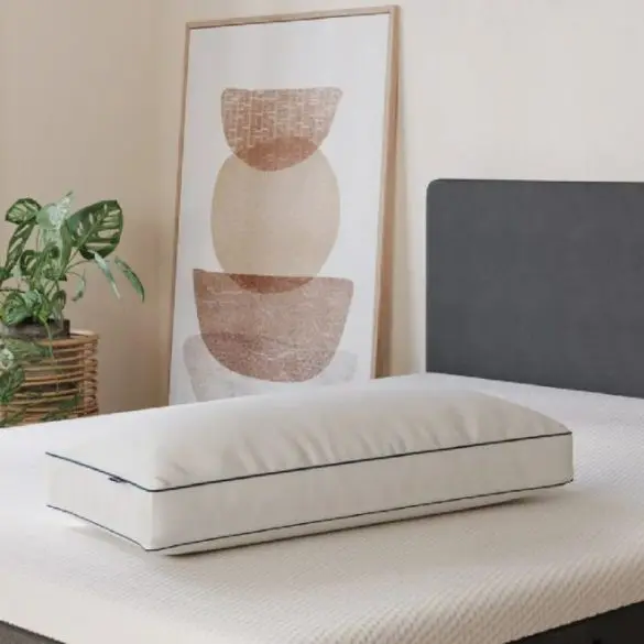 emma premium microfibre pillow review