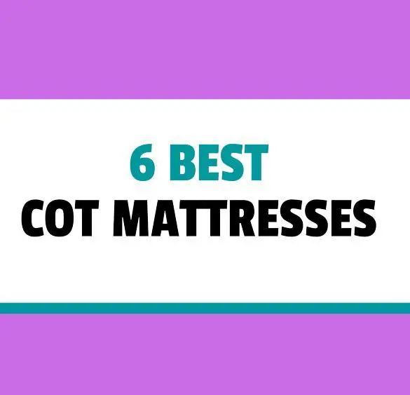 6 best cot mattresses