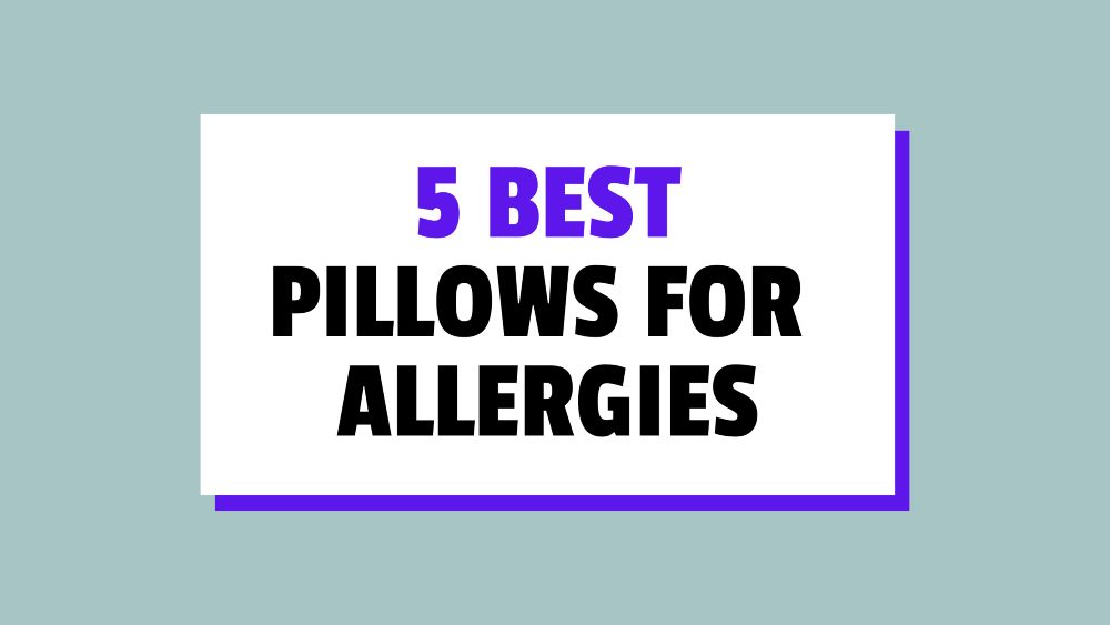 best pillows for allergies